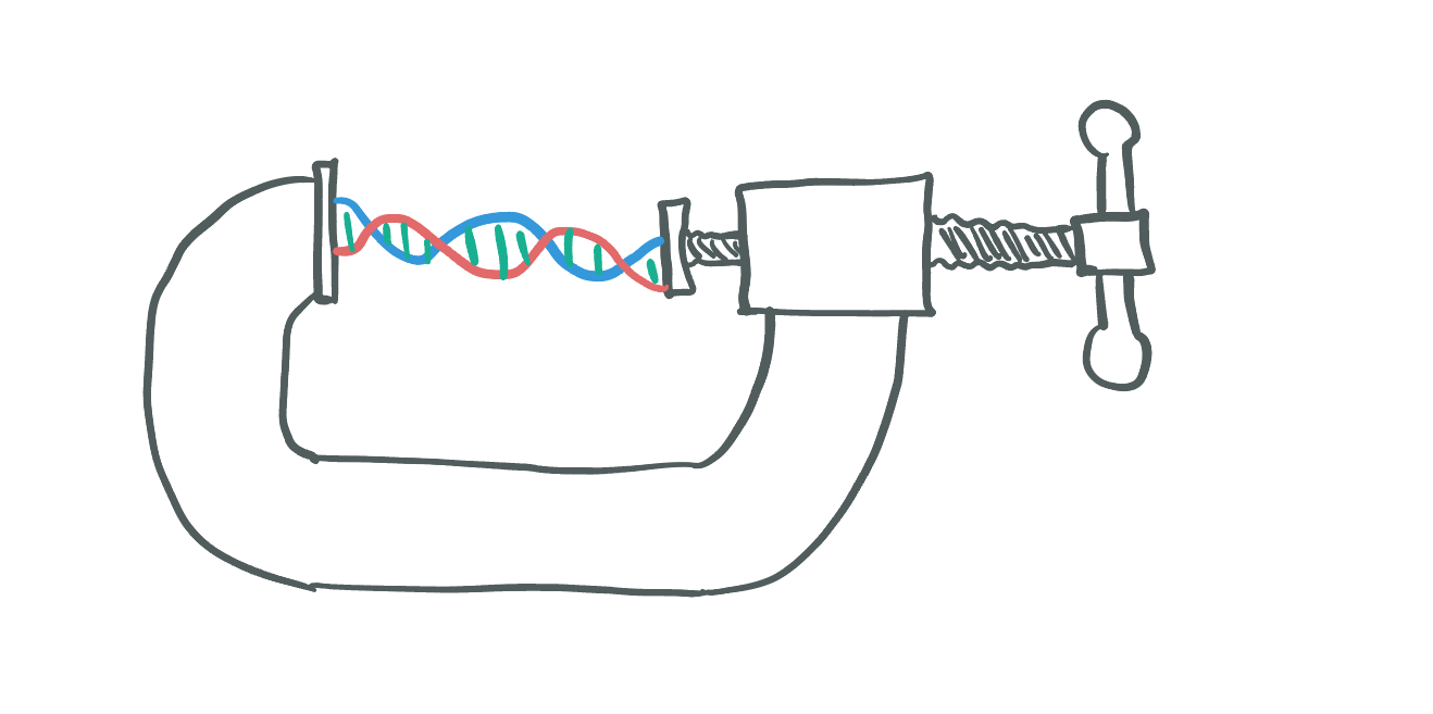 DNA inside of a vice